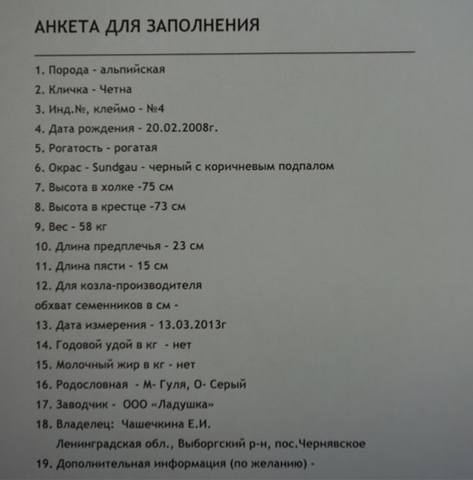 Четна анк Leena