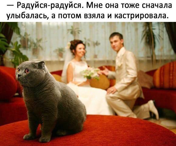 Посмеялся сам - поделись с другом!!!