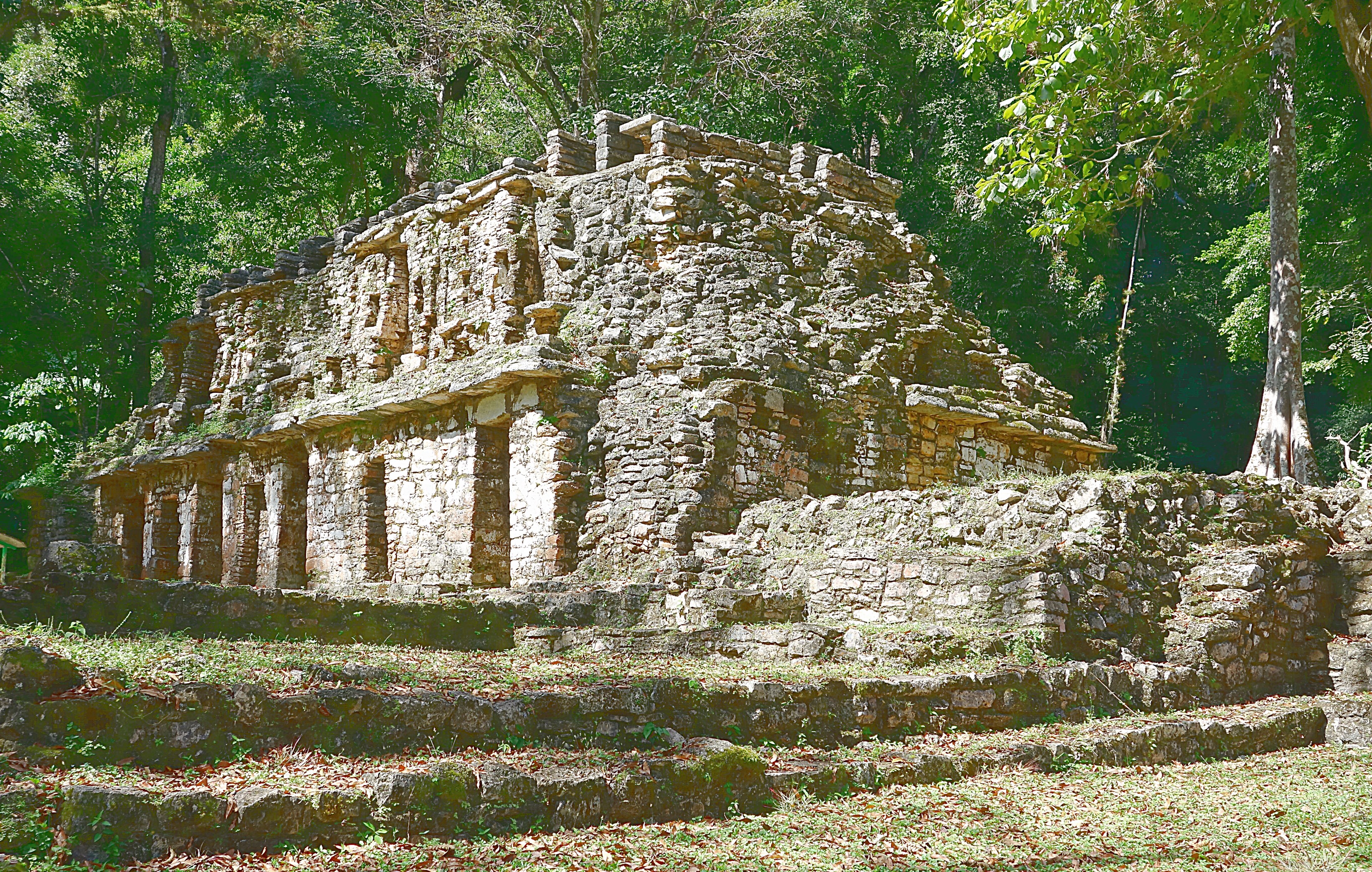 Руины Яшчилана - священного культового города майя среди мексиканской сельвы. Фото Морошкина В.В.