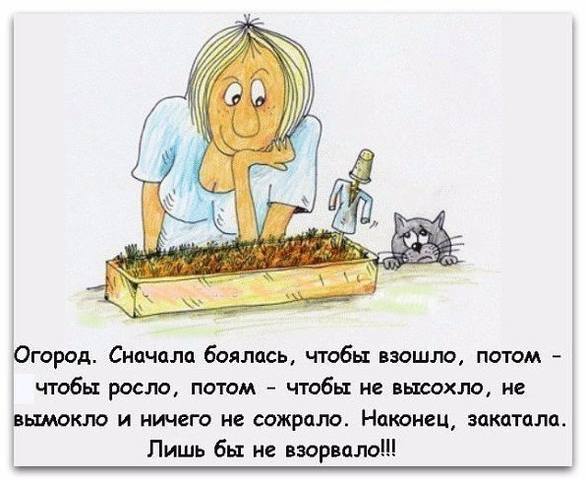 И о погоде