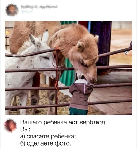 21263281_m.png