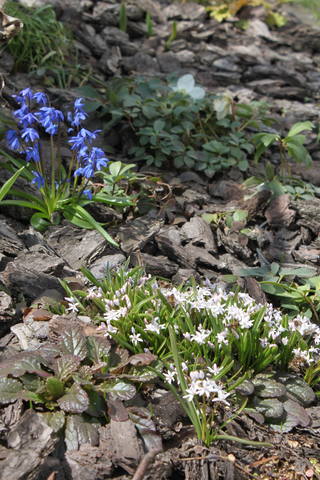 Чайная беседка