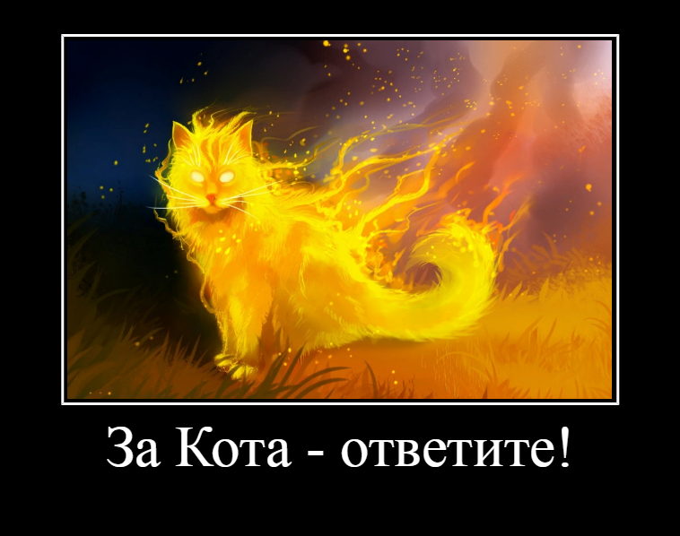 За кота