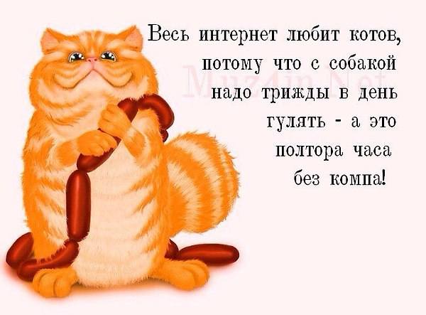 Кто сказал "Мяу"?