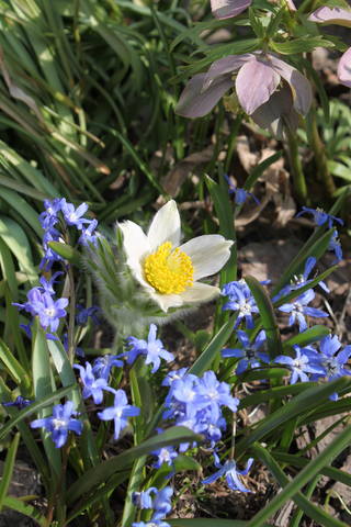 Чайная беседка