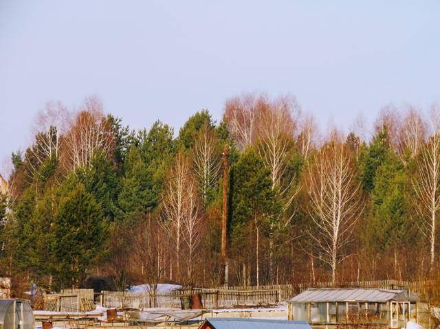 VFL.RU - ваш фотохостинг VFL.RU - ваш фотохостинг