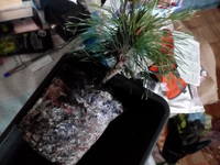 VFL.RU - ваш фотохостинг