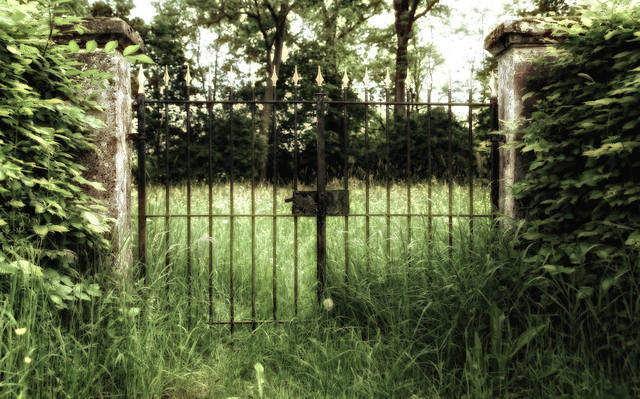 VFL.RU - ваш фотохостинг VFL.RU - ваш фотохостинг