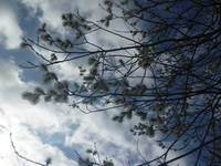 VFL.RU - ваш фотохостинг