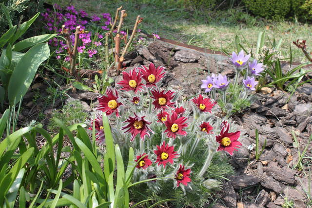 Чайная беседка