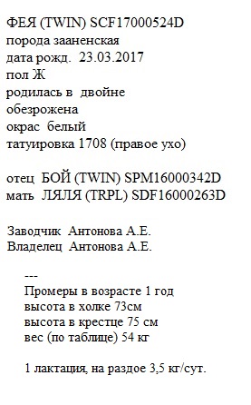 Фея анк Бусинка