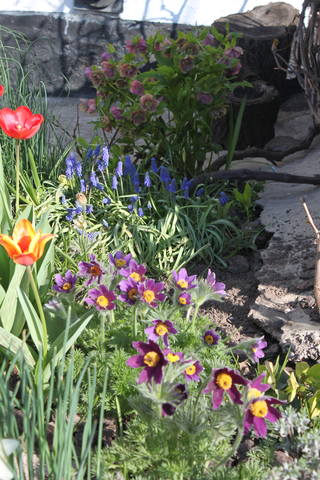 Чайная беседка