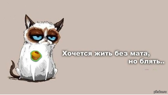 Пора узнать правду.