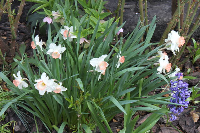 Чайная беседка