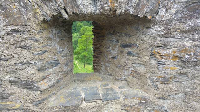 Публикувано изображение