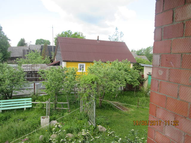 Плодовые деревья и кустарники