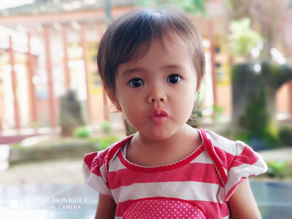 Публикувано изображение