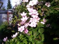 VFL.RU - ваш фотохостинг