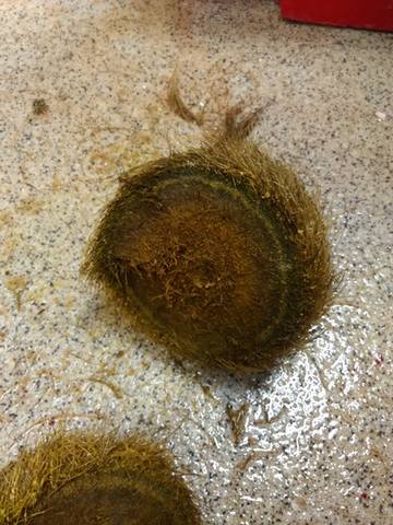 1. Рвота и отказ от пищи