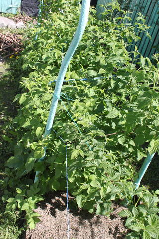 Чайная беседка