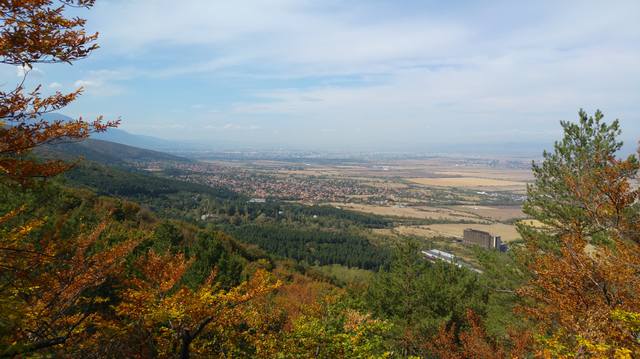 Публикувано изображение