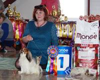 VFL.RU - ваш фотохостинг