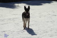 VFL.RU - ваш фотохостинг