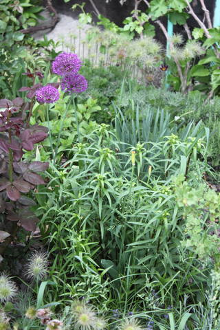 Чайная беседка