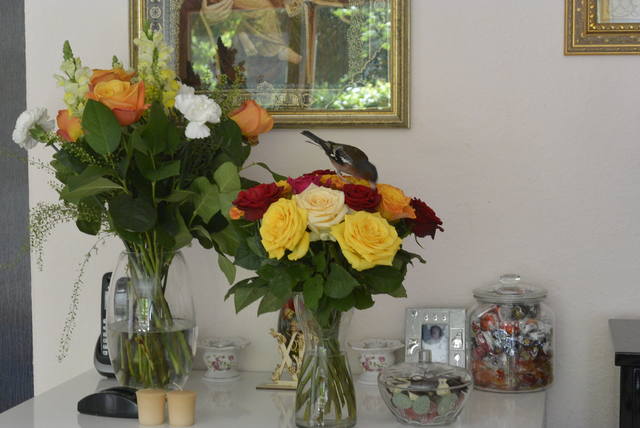 http://images.vfl.ru/ii/1526487926/3707df4c/21768771_m.jpg