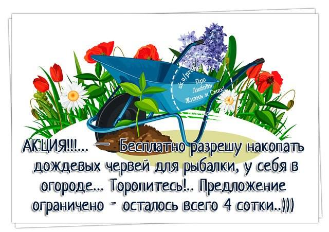 Посмеялся сам - поделись с другом!!!