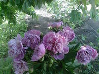 21880897_s.jpg
