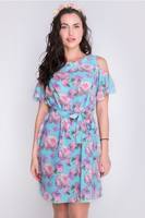 plate-muza1 240xauto