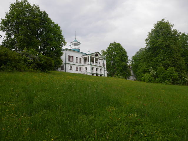 Карликовый карманный крокодил Карликовый карманный крокодил