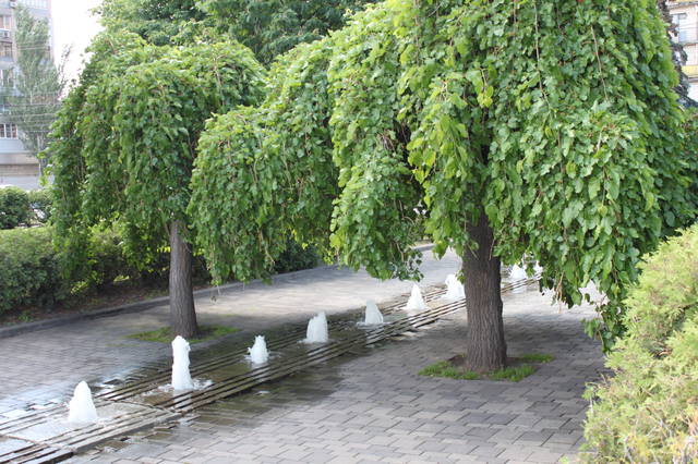 Чайная беседка