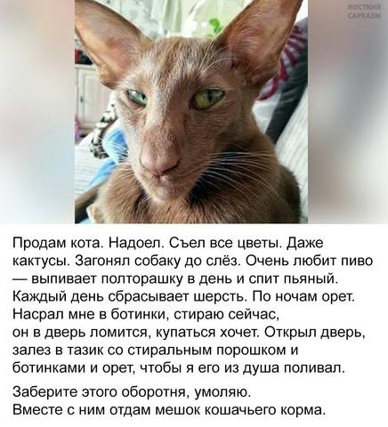 Посмеялся сам - поделись с другом!!!