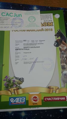 21889324_m.jpg