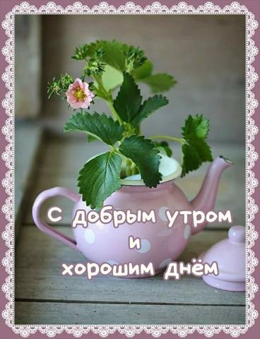 Чайная беседка