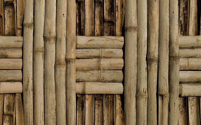 bambuk (1)