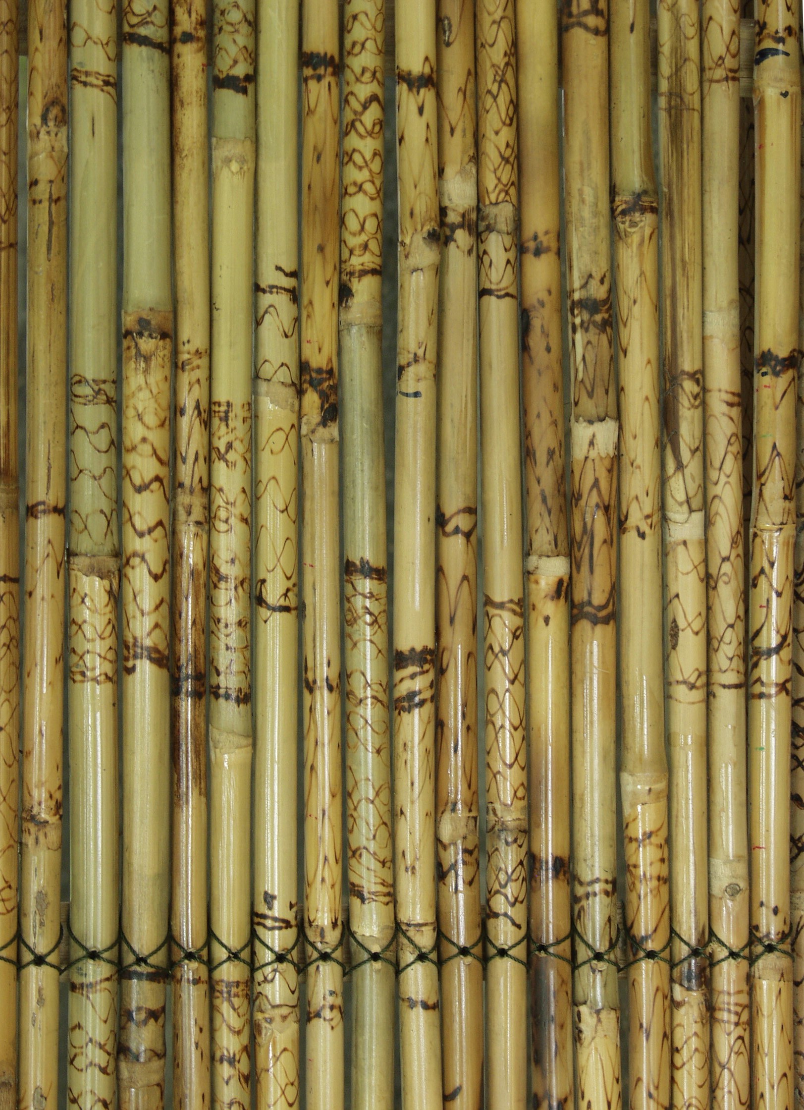 bamboo (1)