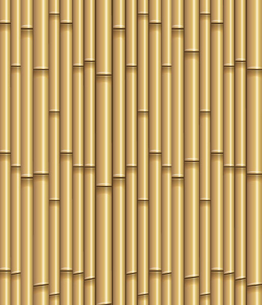 bamboo (2)