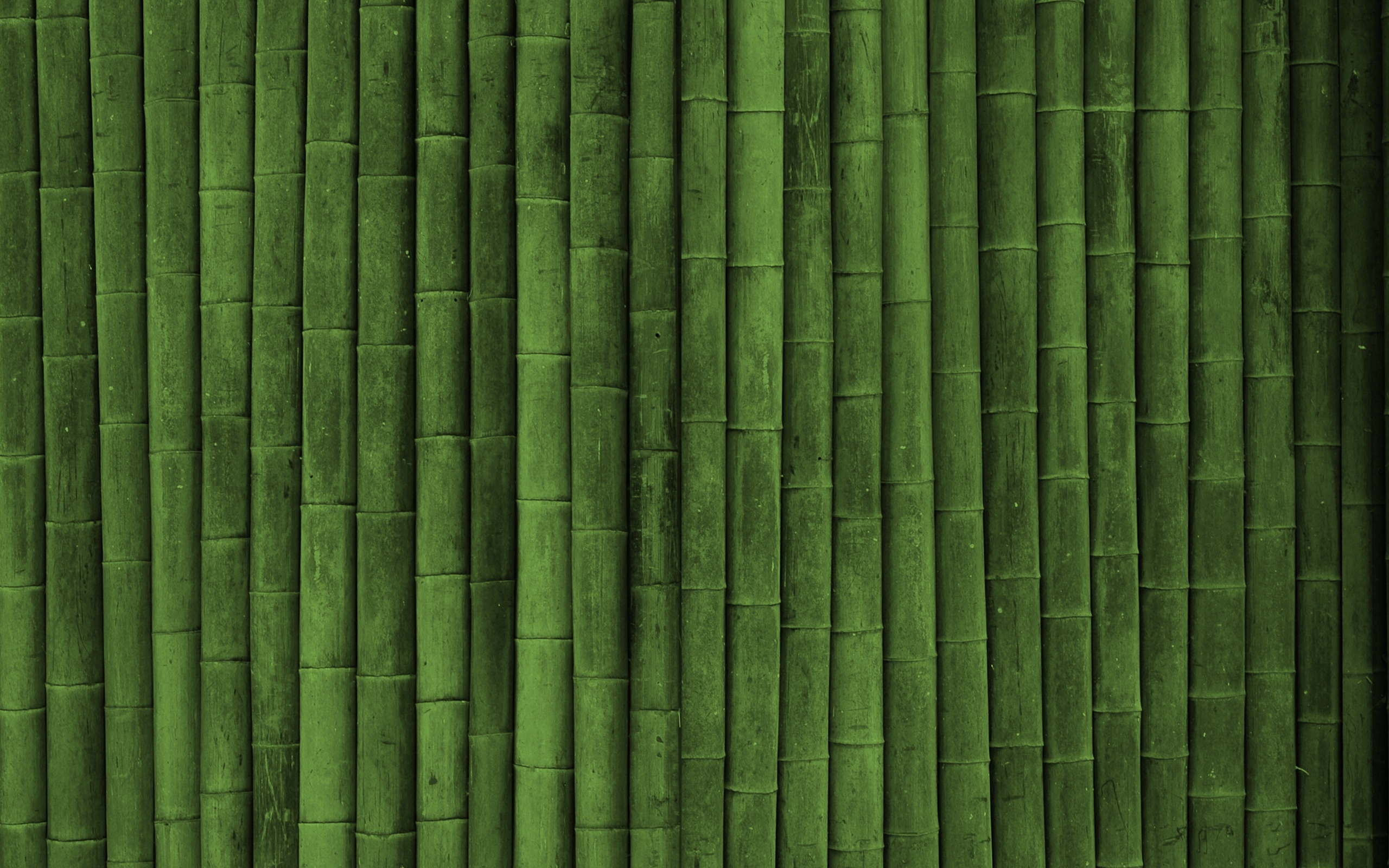 bamboo (12)
