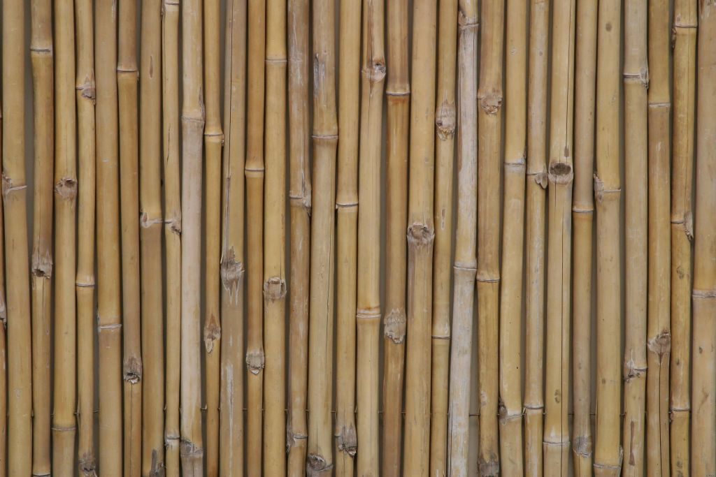 bamboo (21)