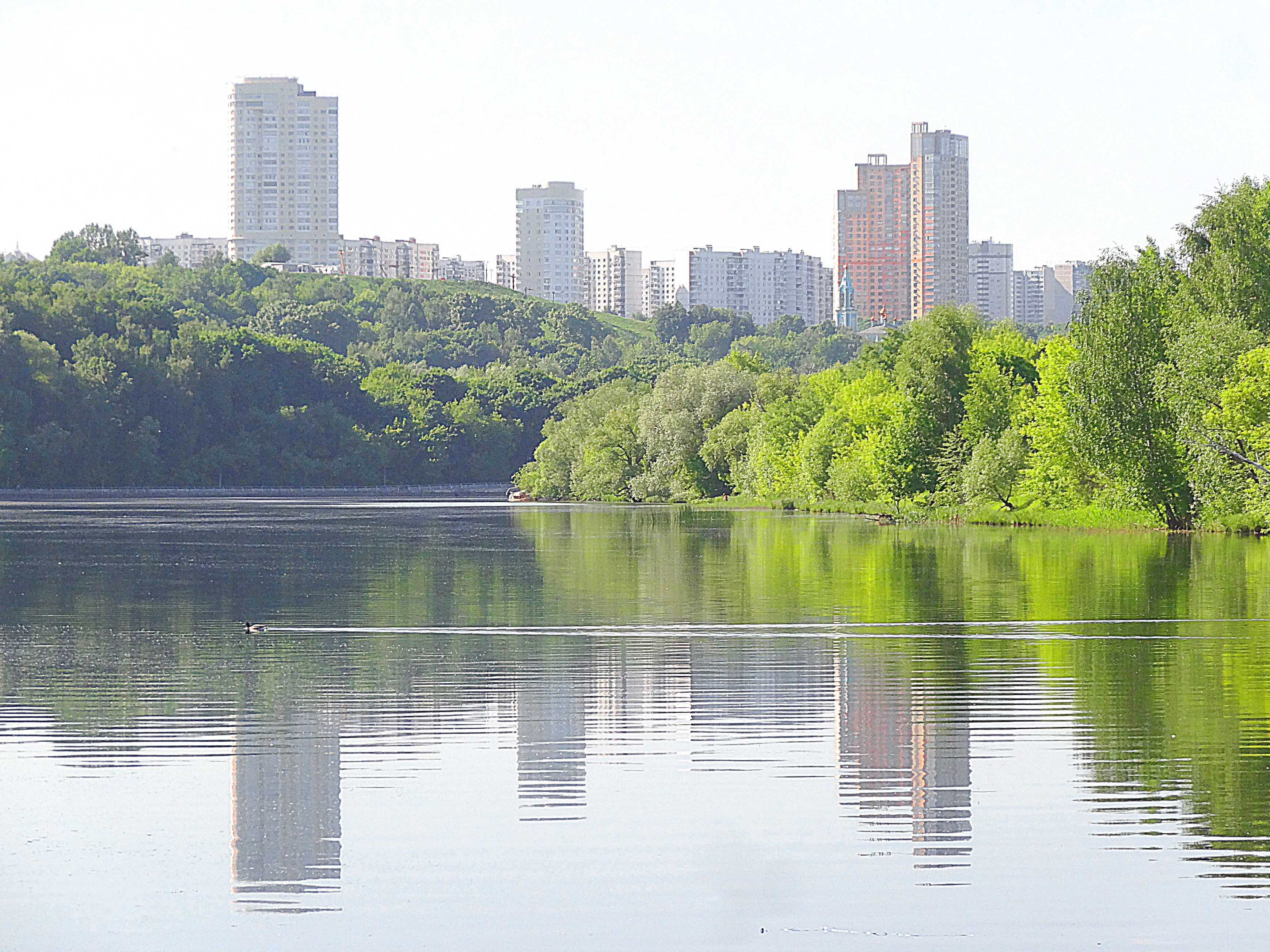 Филёвский парк, Москва-река и здания Крылатского вдали. Фото Морошкина В.В.