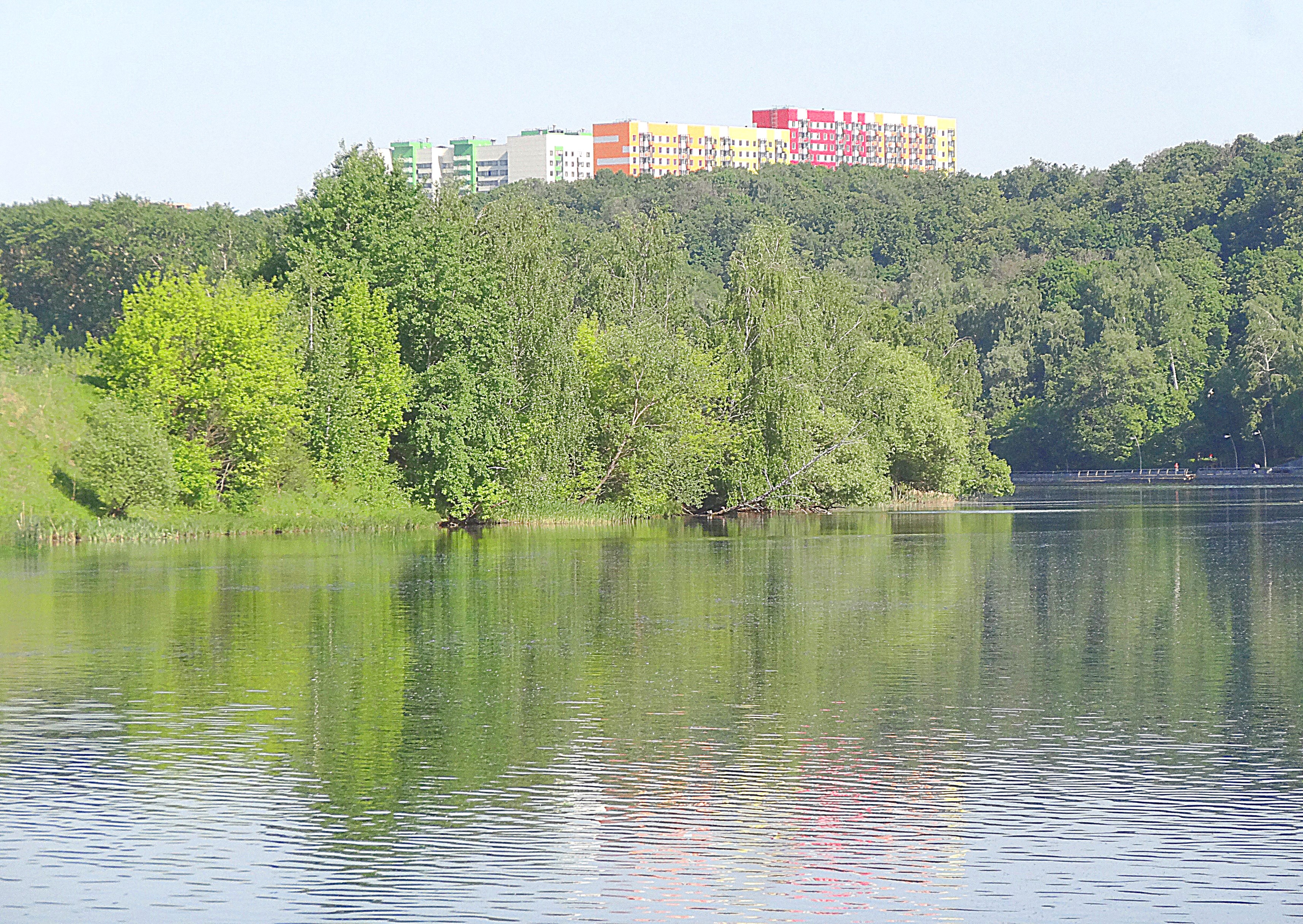 Филёвский парк и Москва-река. Фото Морошкина В.В.