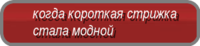 КОГДА КОРОТКАЯ СТРИЖКА СТАЛА МОДНОЙ