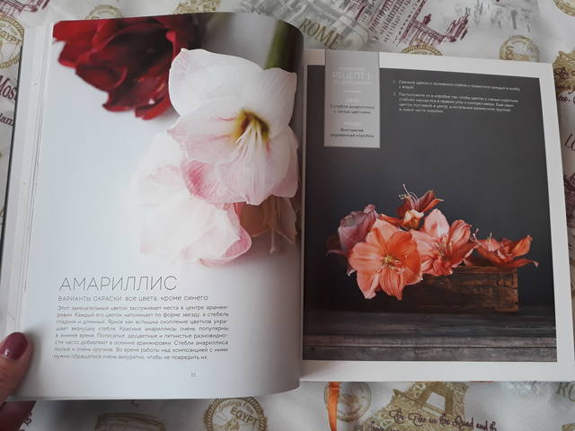 VFL.RU - ваш фотохостинг VFL.RU - ваш фотохостинг