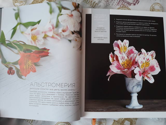 VFL.RU - ваш фотохостинг VFL.RU - ваш фотохостинг