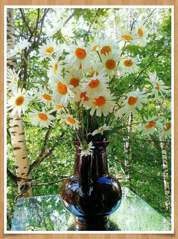 Чайная беседка