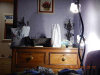 VFL.RU - ваш фотохостинг