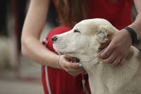 VFL.RU - ваш фотохостинг